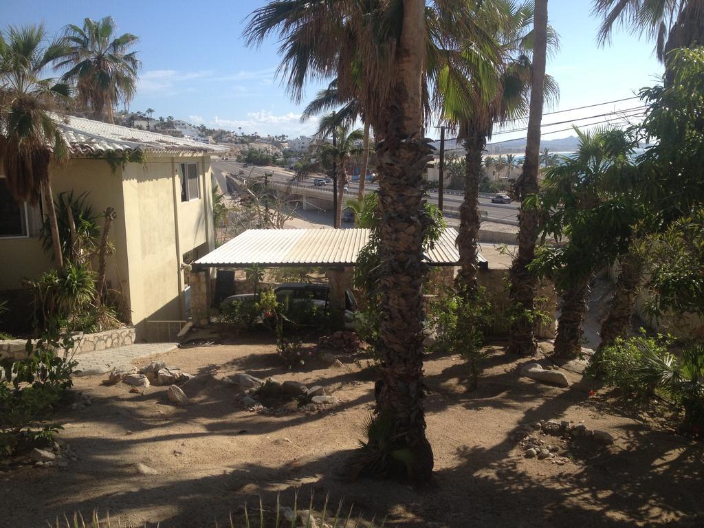 Surfer'S Paradise, Yoga&Food Garden@Costa Azul, Los Cabos San Jose del Cabo Ngoại thất bức ảnh